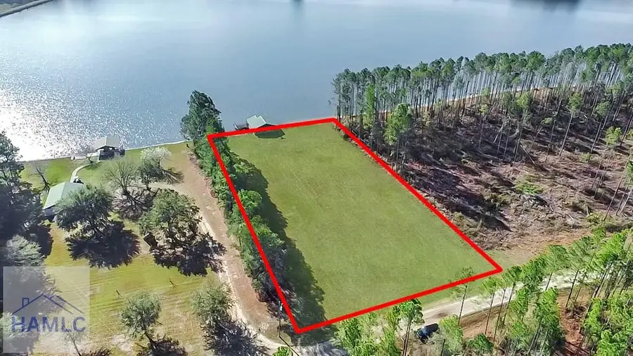00 Jimmie Ree Lane, Bristol, GA 31518 - #3