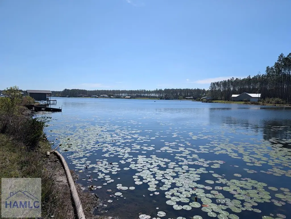 lot 167 Miles Landing, Bristol, GA 31518 - #1