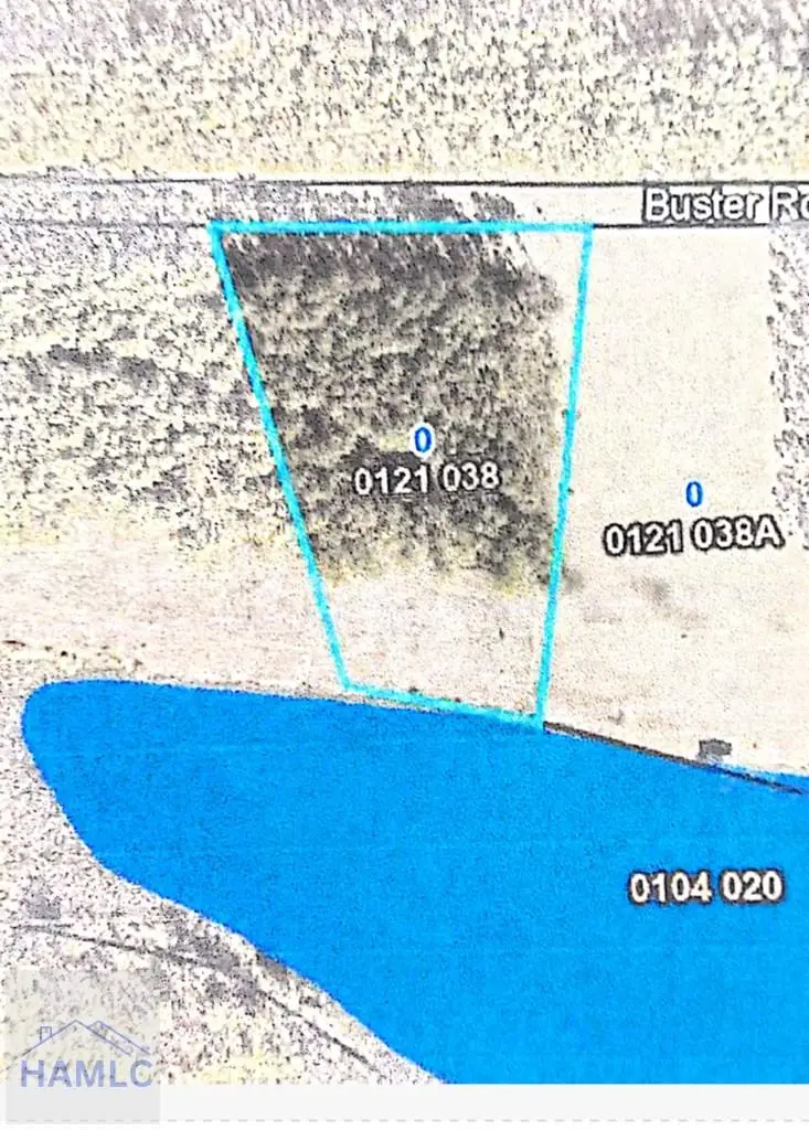 lot 167 Miles Landing, Bristol, GA 31518 - #3