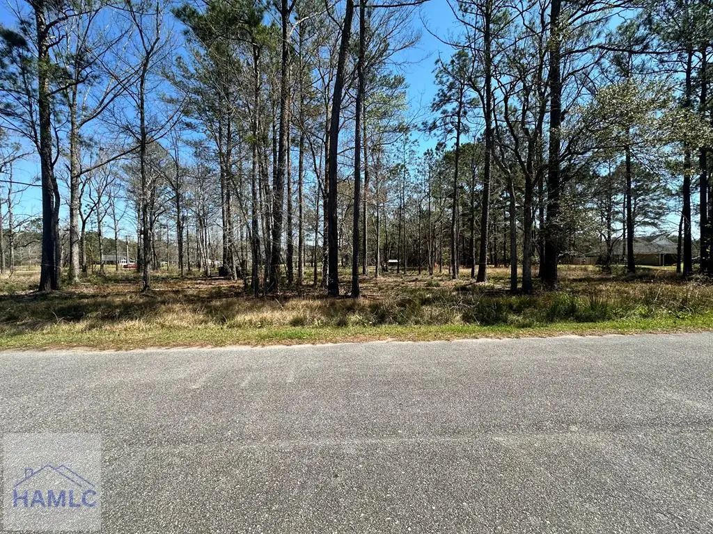 102 Trail South, Midway, GA 31320 - #1