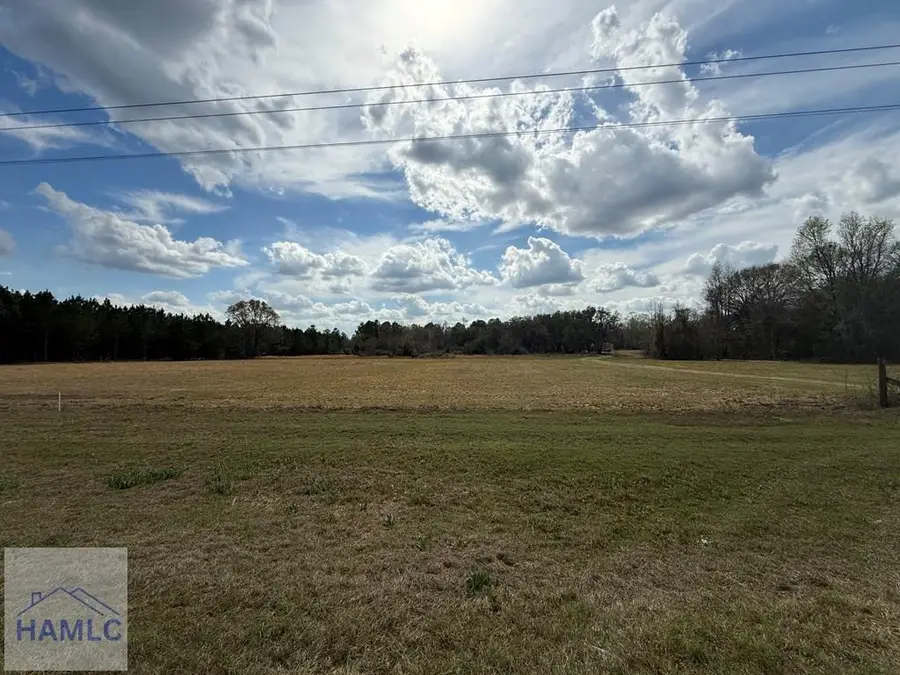 997 Darwell Long Road Ne, Ludowici, GA 31316 - #3