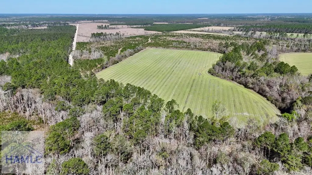Tract 6 Ingram Road, Odum, GA 31555 - #1