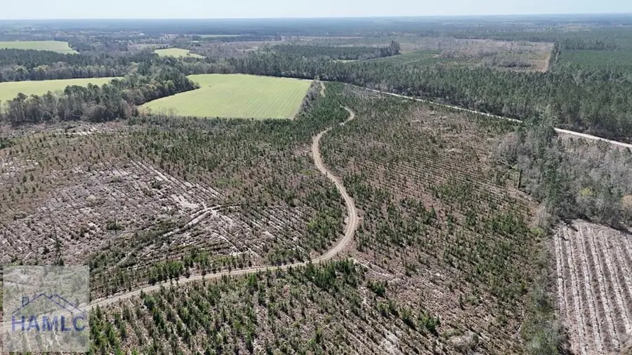 Tract 6 Ingram Road, Odum, GA 31555 - #3