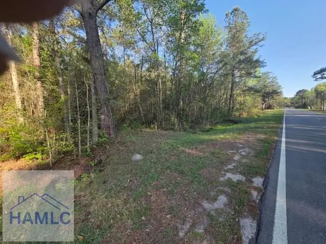 0000 Bill Carter Road, Midway, GA 31320 - #3