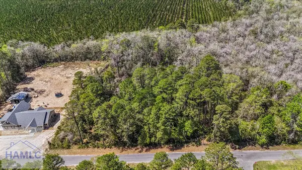 0 Littlefield Street, Jesup, GA 31546