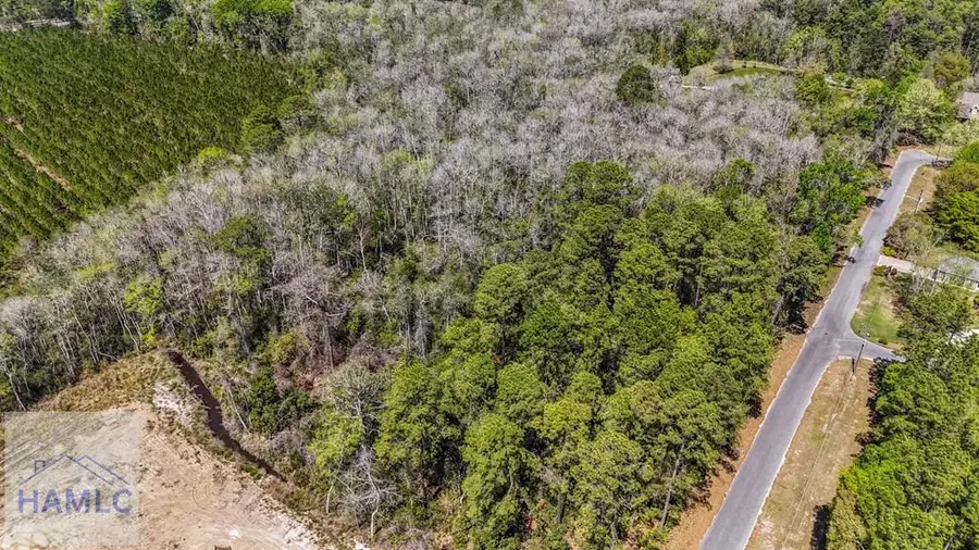 0 Littlefield Street, Jesup, GA 31546 - #3