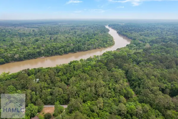 Lot 12 Moss Landing, Jesup, GA 31545