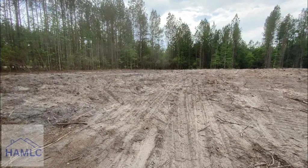 1 Firetower Road, Ludowici, GA 31316 - #1