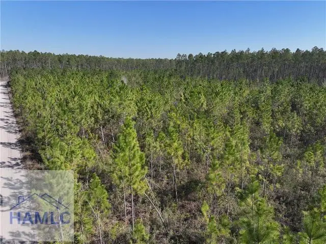 Tract 3 Bennett Mill Pond Road, Jesup, GA 31545 - #2