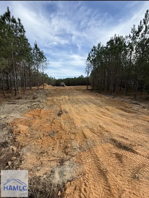 1410 Penny Morris Road, Baxley, GA 31513