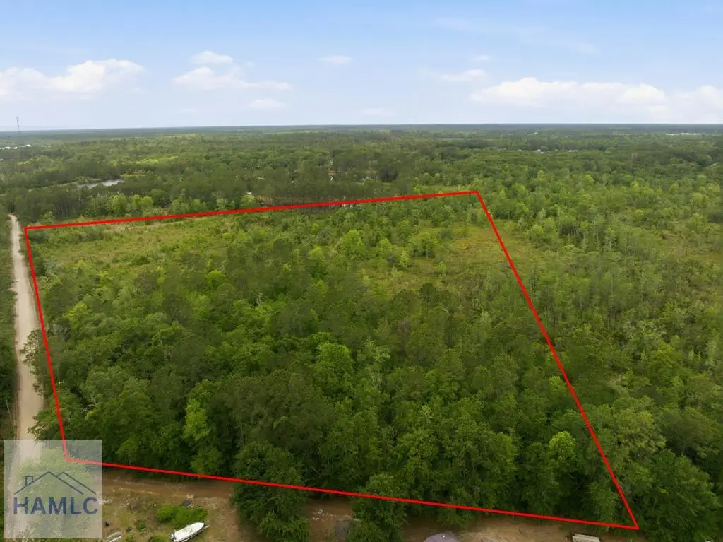 0 Williamson Road, Allenhurst, GA 31301 - #1
