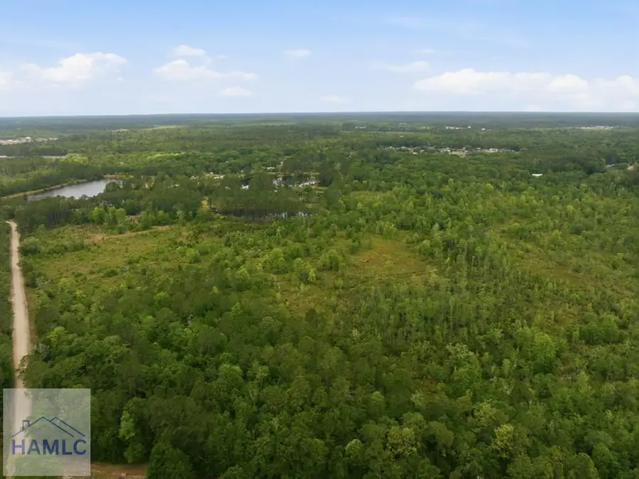 0 Williamson Road, Allenhurst, GA 31301 - #3