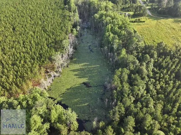 Tract 3 Oglethorpe Road, Jesup, GA 31545