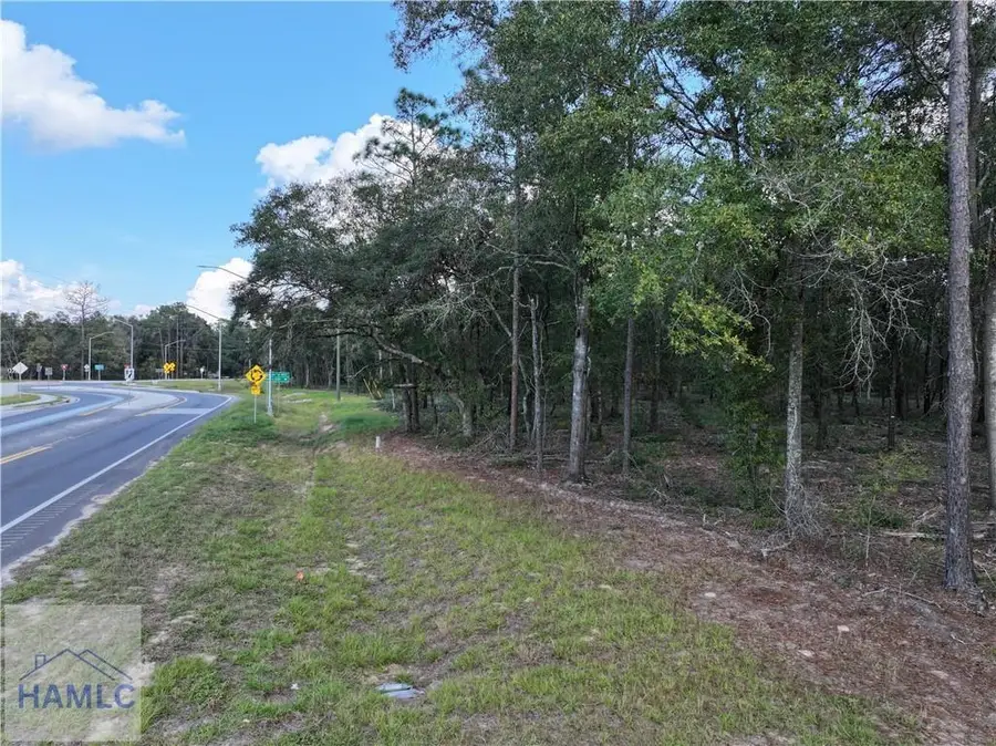 1 Spring Grove Road, Jesup, GA 31545 - #2