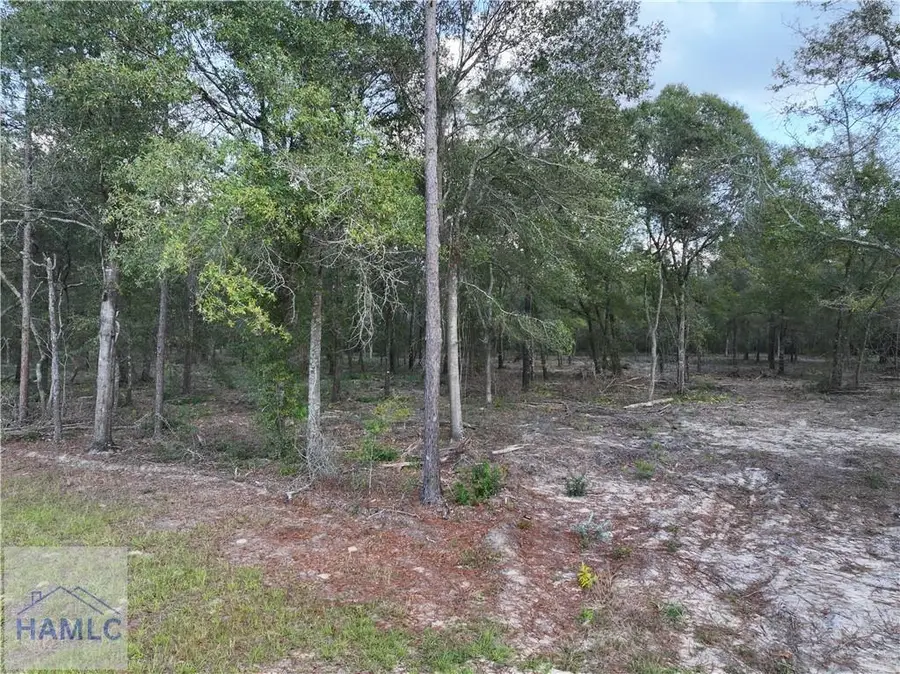 1 Spring Grove Road, Jesup, GA 31545 - #3