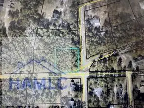 1 Palm Island Circle, Jesup, GA 31545