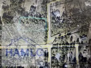 0 Palm Island Circle, Jesup, GA 31545