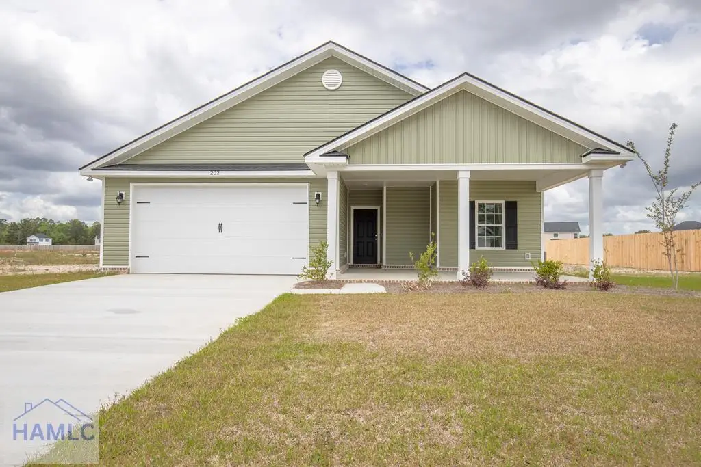 202 Freshwater Lane, Ludowici, GA 31316 - #1