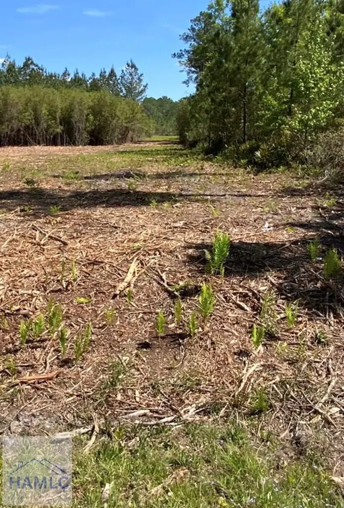 1 John Wells Road, Hinesville, GA 31313 - #2
