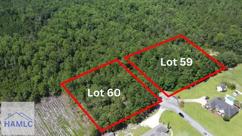 113 Vixenhill Drive, Jesup, GA 31546 - #1