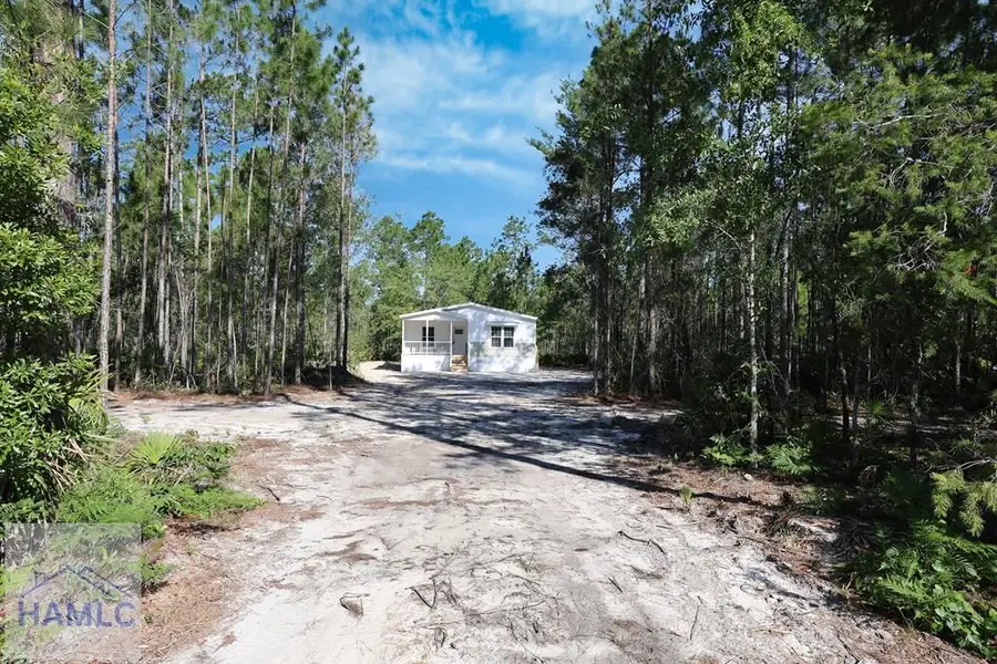 Lot 4 Waycross Highway, Jesup, GA 30427 - #2