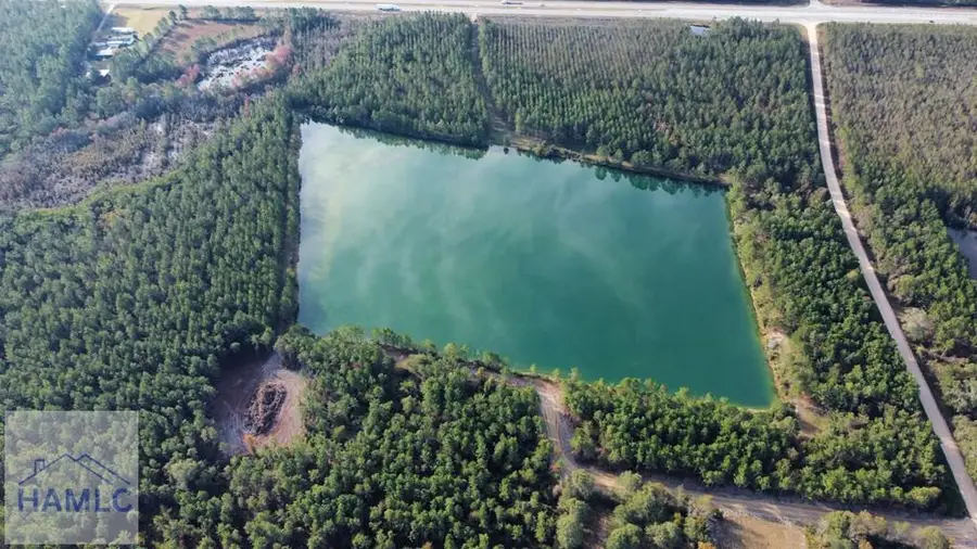 21 AC Hwy 341, Odum, GA 31555 - #2