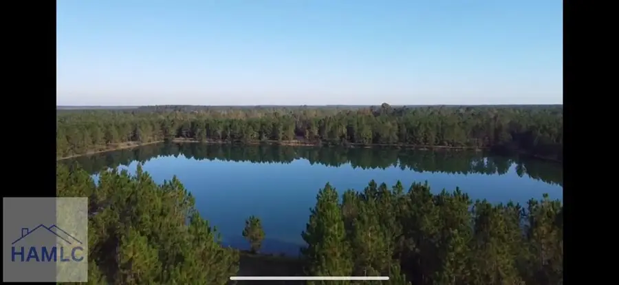 15.52 AC Hwy 341, Odum, GA 31555 - #3
