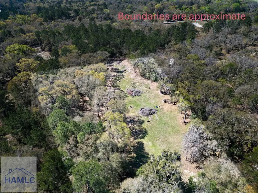 2.33 Ac Trade Hill Road, Midway, GA 31320 - #2