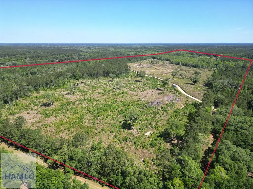 1849 Leroy Coffer Highway, Midway, GA 31320 - #1