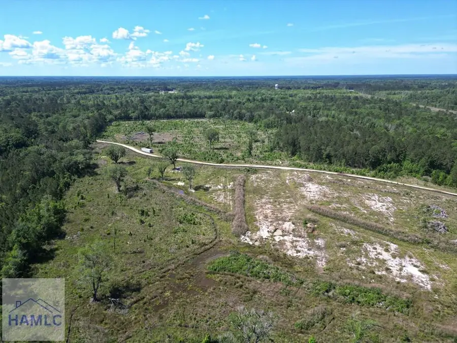 1849 Leroy Coffer Highway, Midway, GA 31320 - #3