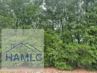 4.55 Ac River Ridge Drive, Reidsville, GA 30453 - #2