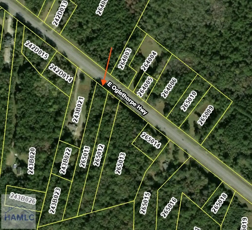 13225 East Oglethorpe Highway, Midway, GA 31320 - #1