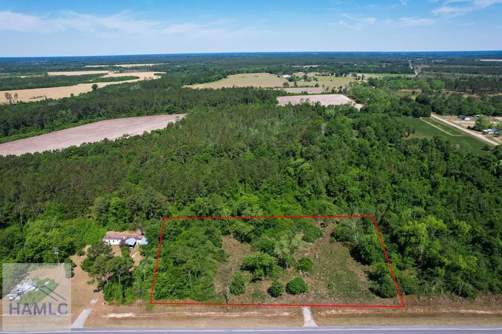 0 Highway 84, Patterson, GA 31557 - #1