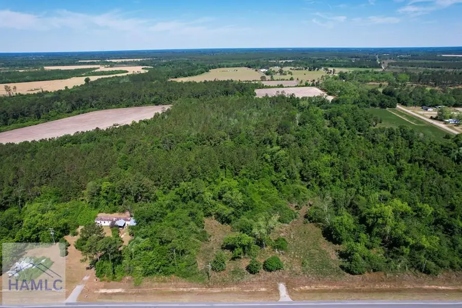 0 Highway 84, Patterson, GA 31557 - #2