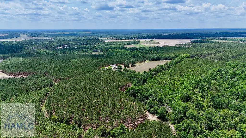 0 Neily Wagon Road, McRae, GA 31055 - #1