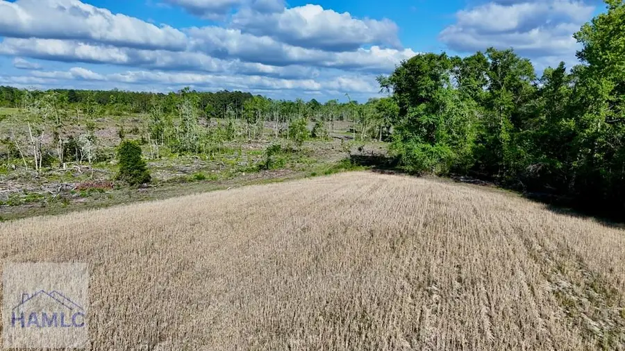 Tract 1 Kennedy Lane, Baxley, GA 31513 - #3