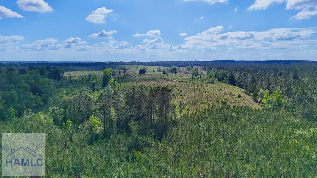 Tract 4 Oscar Tippins Road, Baxley, GA 31513 - #1