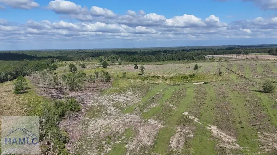 Tract 4 Oscar Tippins Road, Baxley, GA 31513 - #2