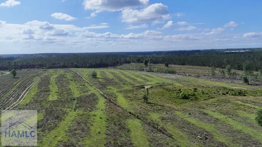 Tract 4 Oscar Tippins Road, Baxley, GA 31513 - #3