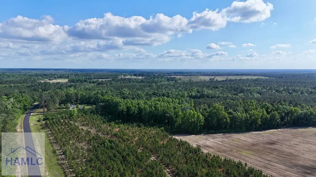 Tract 2 Oscar Tippins Road, Baxley, GA 31513 - #1