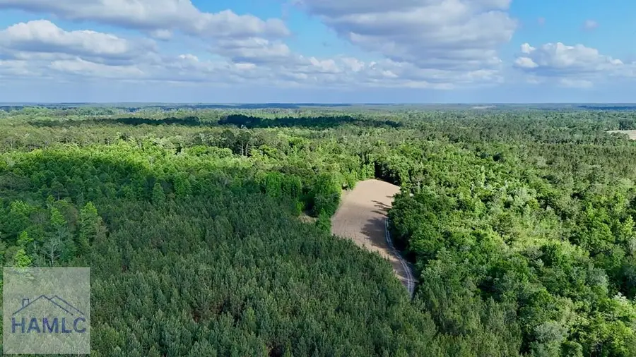 Tract 2 Oscar Tippins Road, Baxley, GA 31513 - #2
