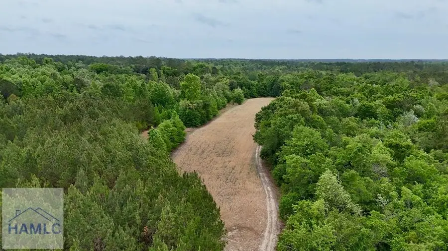 Tract 2 Oscar Tippins Road, Baxley, GA 31513 - #3