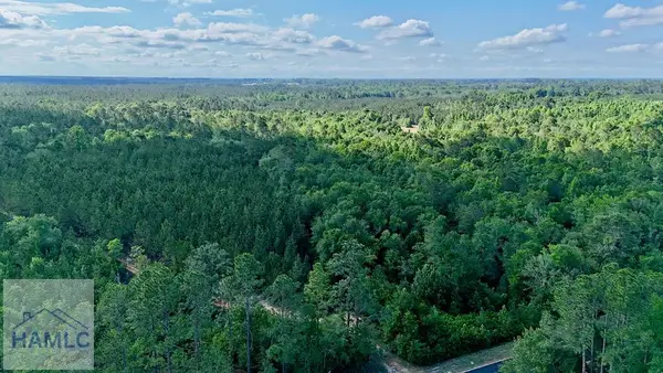 Tract 3 Oscar Tippins Road, Baxley, GA 31513