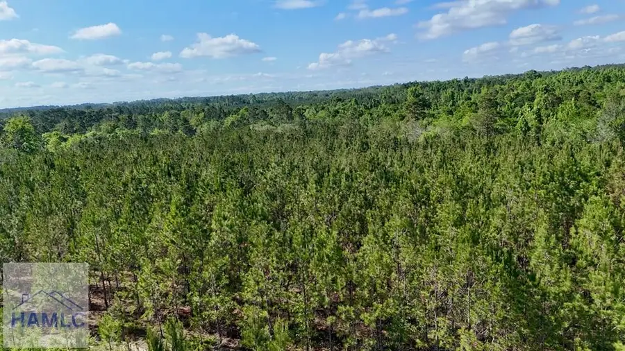Tract 3 Oscar Tippins Road, Baxley, GA 31513 - #2