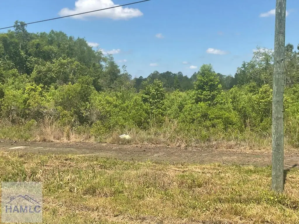 16-17-18 Wayenda Court, Jesup, GA 31545 - #1
