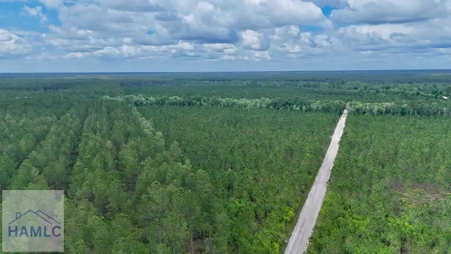 0 Owens Road, Odum, GA 31555 - #2
