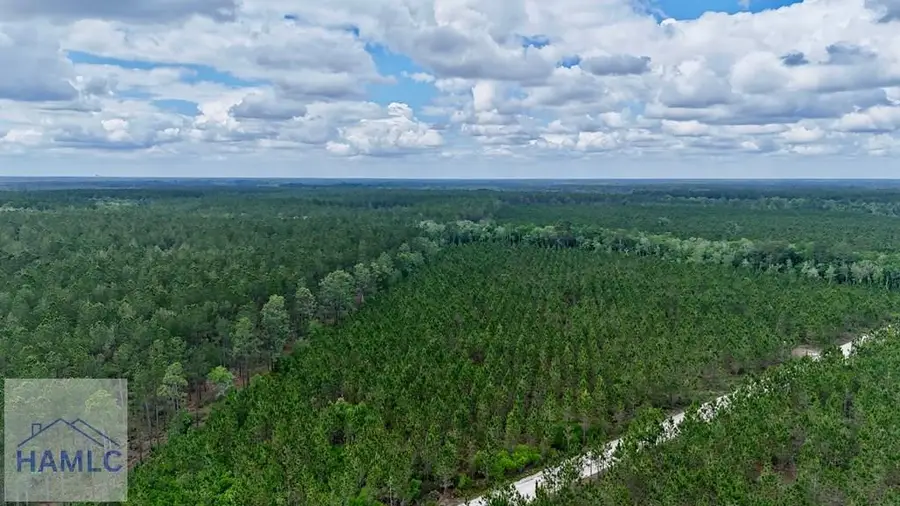 0 Owens Road, Odum, GA 31555 - #3