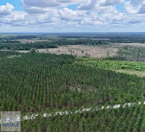 0 Owens Road, Odum, GA 31555