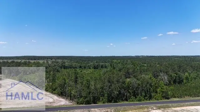 0 Oscar Tippins Road, Baxley, GA 31513 - #1