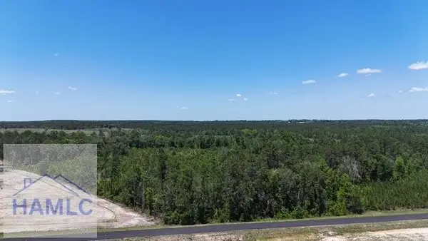0 Oscar Tippins Road, Baxley, GA 31513